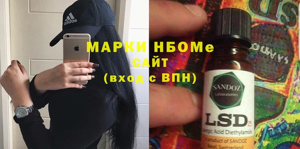 индика Волоколамск